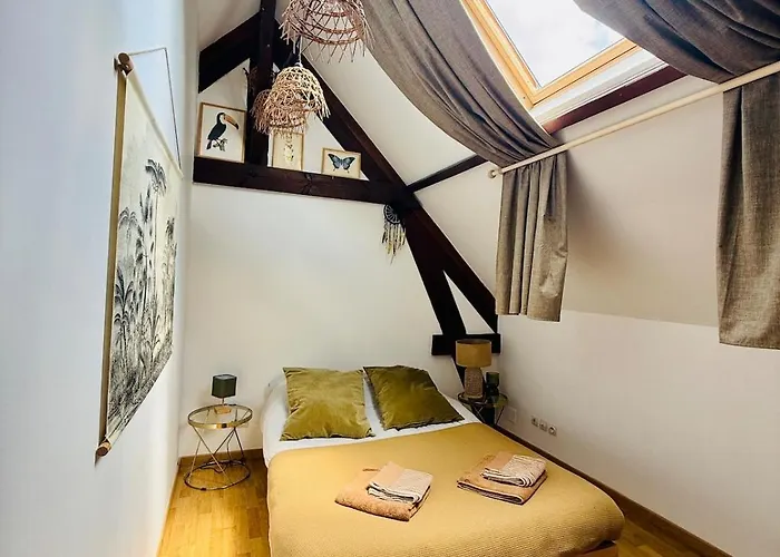 Basileon Nid Douillet à Appartement